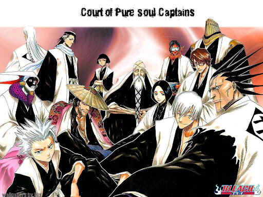 bleach captains 745265
