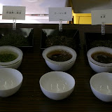 IMGP3143お茶の木から3種類のお茶が.jpg