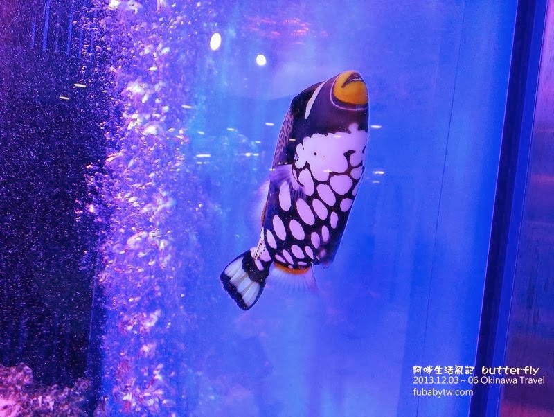 調整大小IMAG2146 調整大小IMAG2146