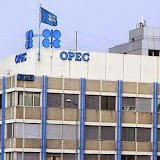 L’OPEP décide de ne pas baisser sa production, Les cours du pétrole plongent