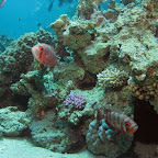 IMG_9622.JPG