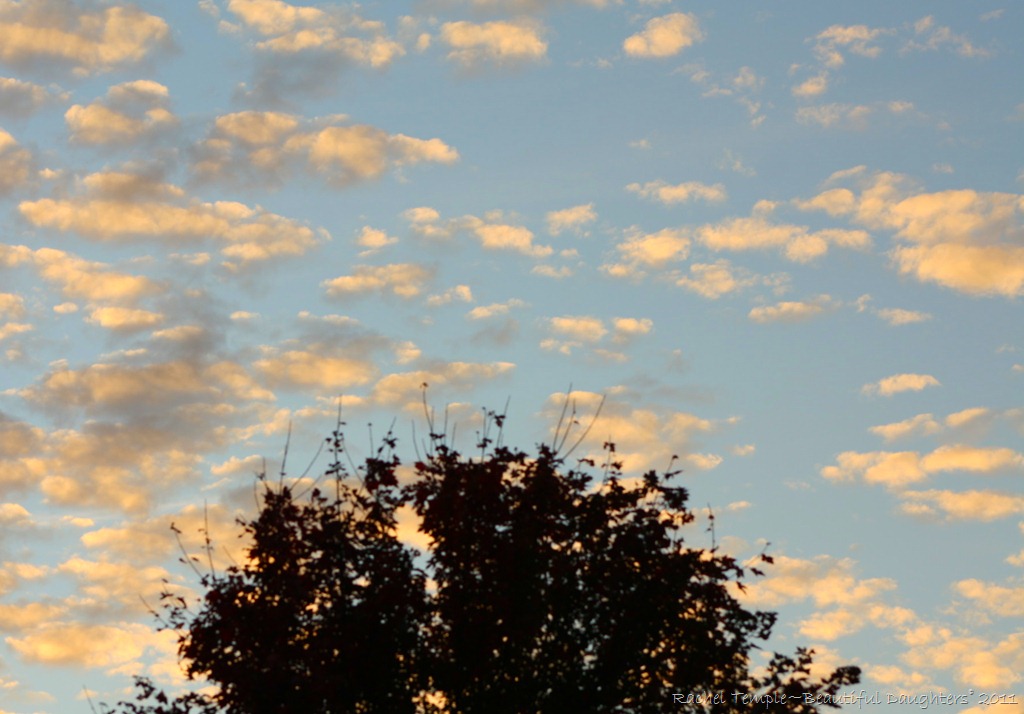 [fall2011%2520010%255B20%255D.jpg]