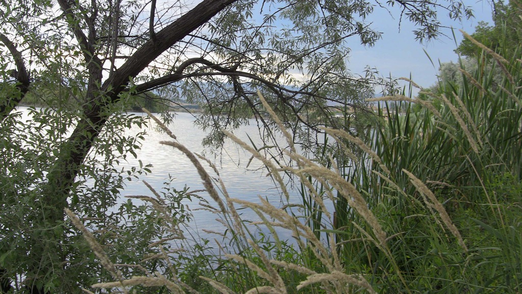 [IMG_0247%255B5%255D.jpg]
