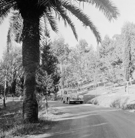 clip_image024 clip_image024