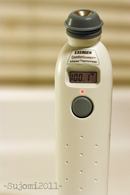 [2011%252010%252012%2520_MG_5704w%255B5%255D.jpg]