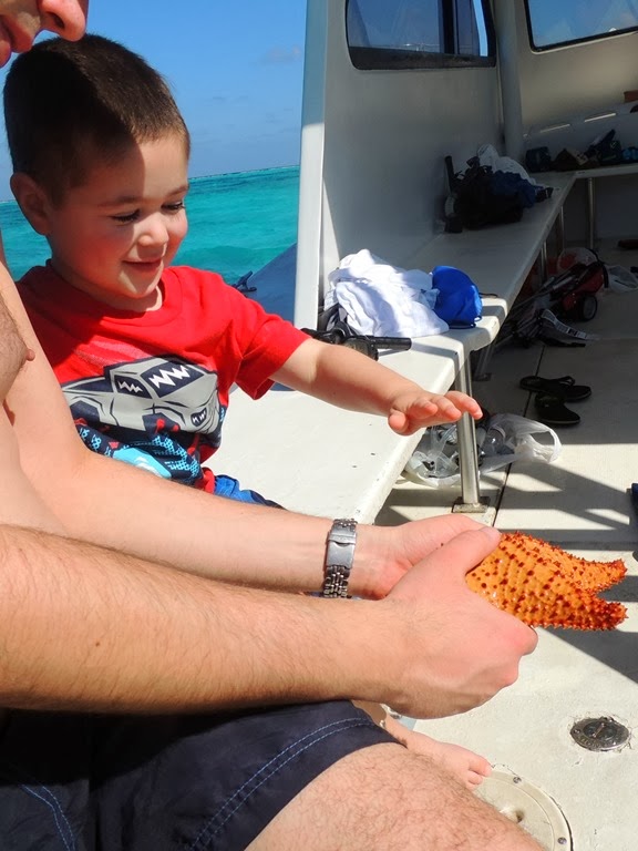 [DSCN7453%255B3%255D.jpg]