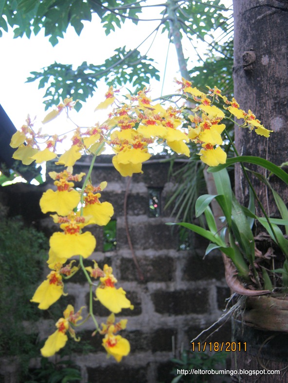 [IMG_4617%255B4%255D.jpg]