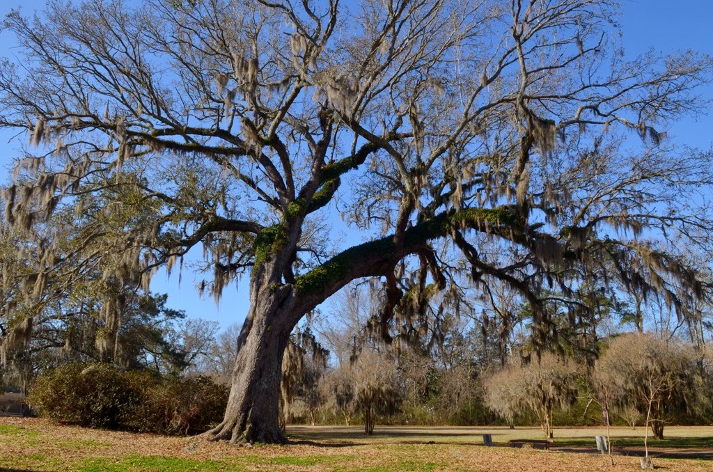 [Natchez_011%255B3%255D.jpg]