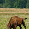 DSC24409_6.jpg