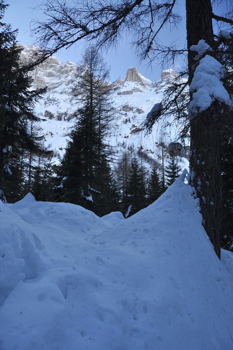 DSC_6864.jpg DSC 6864