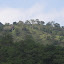 IMG_0873.JPG