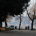 DSC_2749.JPG