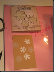 IMG_3370 IMG_3370