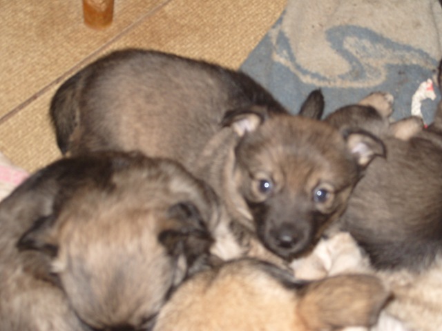 [bloggbilder%25202%2520341%255B2%255D.jpg]