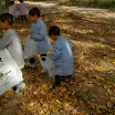 ALIM0625.JPG