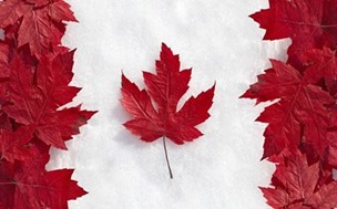 Canada Maple Leaves Canada Maple Leaves