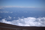 IMGP3413.jpg