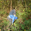 DSCN0219.JPG