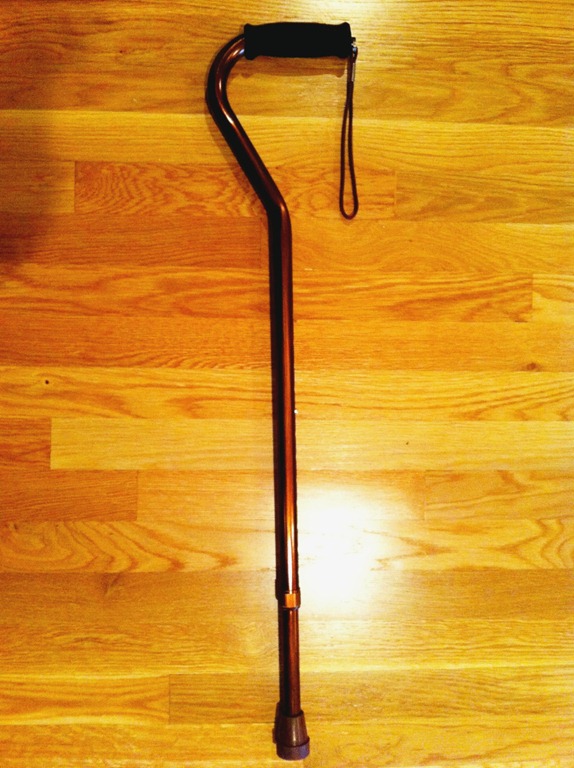 [plain%2520cane%255B9%255D.jpg]
