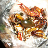Thaïlande - Bangkok - Hum... des insectes grillés !