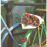 Postkarte-KW-14.jpg