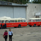 DSC01317.JPG