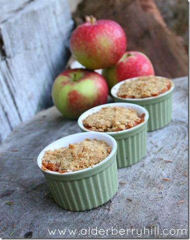 [apple%2520crisp%255B3%255D.jpg]