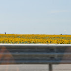 DSC_5996.jpg