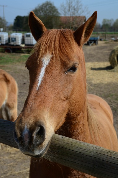 spring walk3 spring walk3