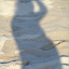 PICT0115.jpg