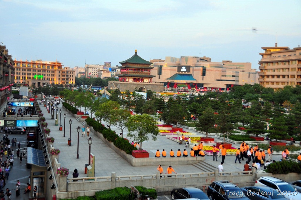 [DSC_59298.jpg]