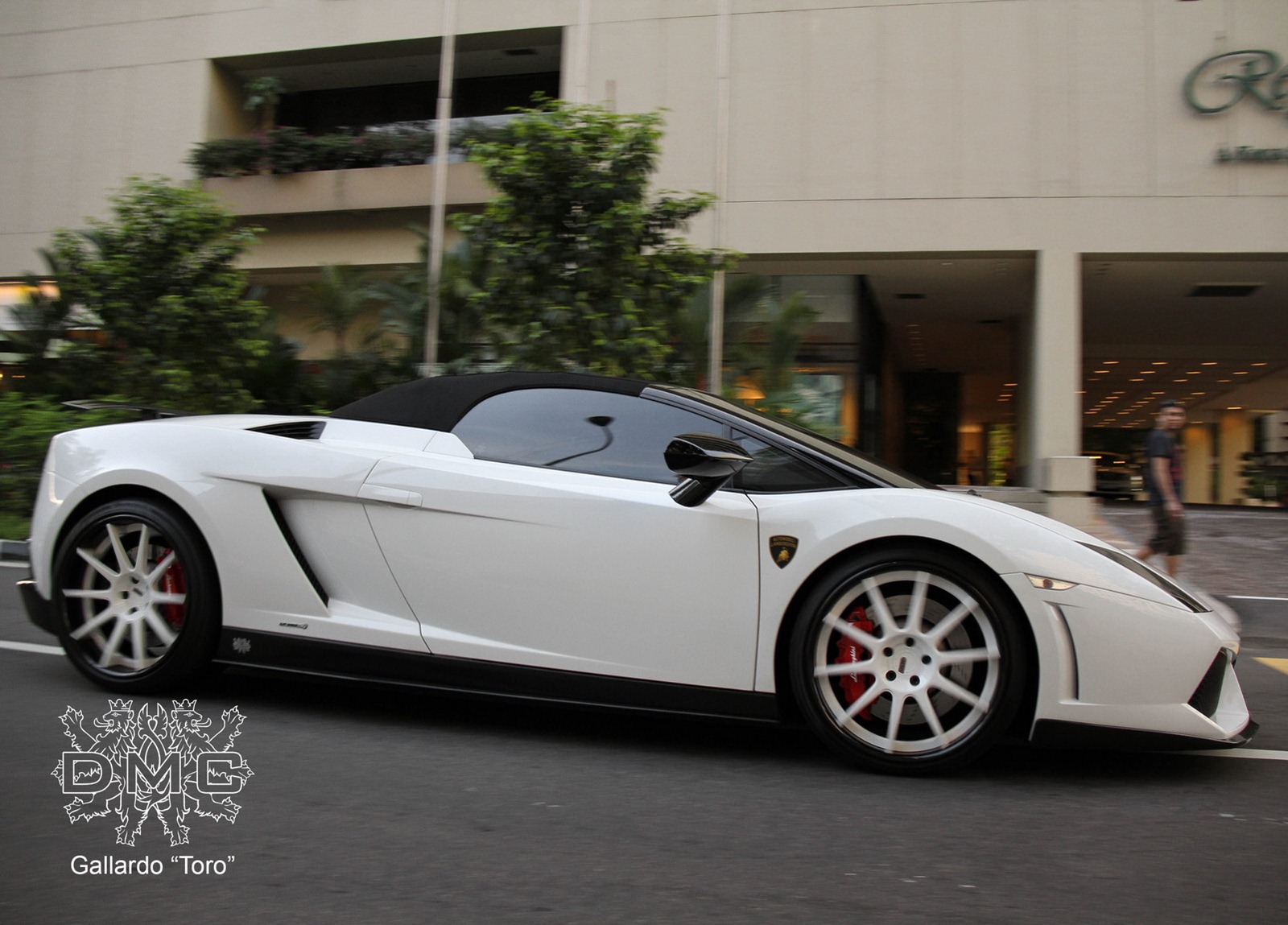 [DMC-Toro-Gallardo-6%255B6%255D.jpg]