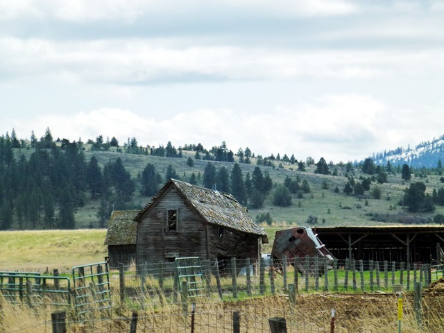 [P10502413.jpg]
