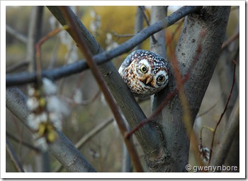 DSC_0790_новый размер DSC_0790_новый размер