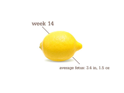 [week142.png]