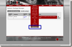 2011-08-09_231223 DNS Server