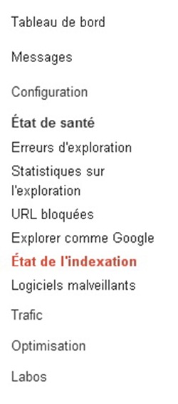 index-state-google-webmaster_1