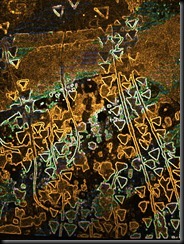 Klimt 1d