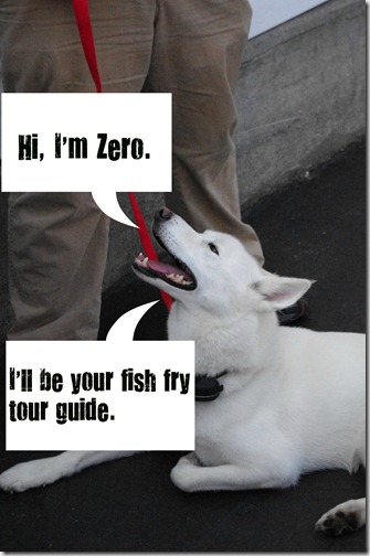zero1 zero1