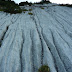 2011.08.18.-19. - Spodnje bohinjske gore