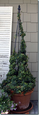 topiary7