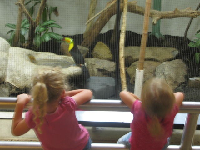 [IMG_3379%255B2%255D.jpg]