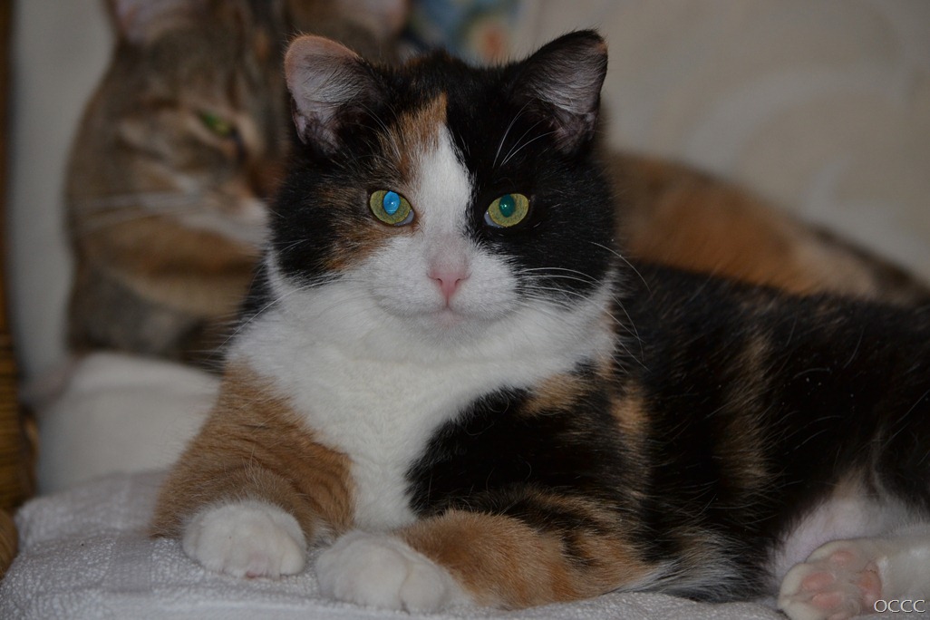[DSC_6772%255B3%255D.jpg]
