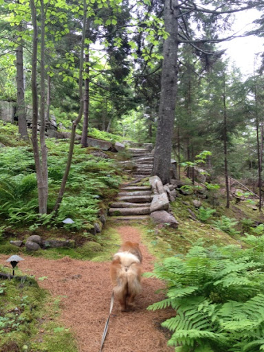 The landscape was designing by Danish landscape architect and city planner, Jens Jensen. He created all of these beautiful pine needle-covered pathways and connecting rustic stone steps. The landscape was designing by Danish landscape architect and city planner, Jens Jensen. He created all of these beautiful pine needle-covered pathways and connecting rustic stone steps.