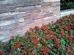 P09-11-11_15.58[1]