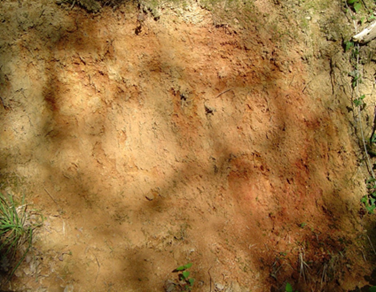 Sables rouges dans un talus de La Ménardais Sables rouges dans un talus de La Ménardais