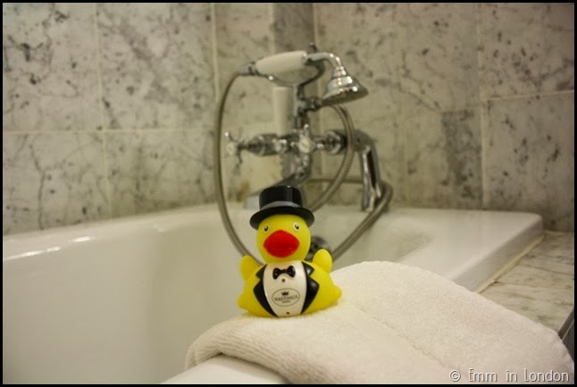 Hastings Hotel ducky
