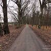 dsc05529.jpg