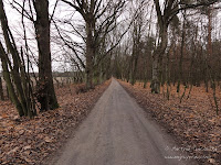 ku górze