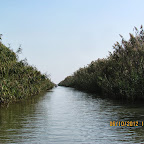 IMG_7953.JPG